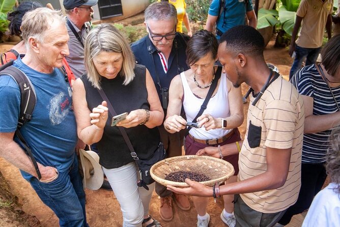 Full-Day Private Materuni Waterfalls and Coffee in Tanzania - Good To Know