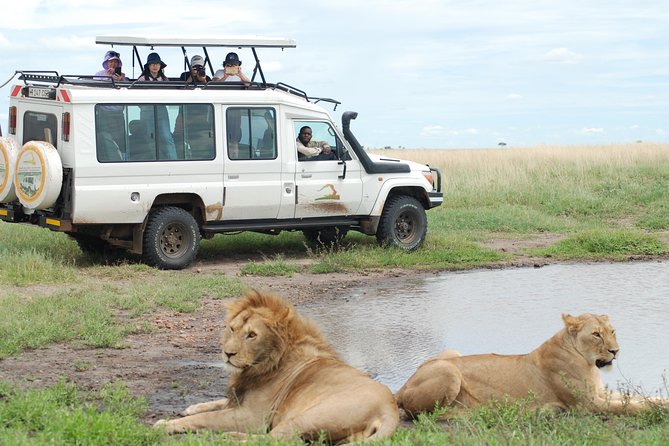 Full-Day Private Serengeti Safari From Mwanza - Good To Know