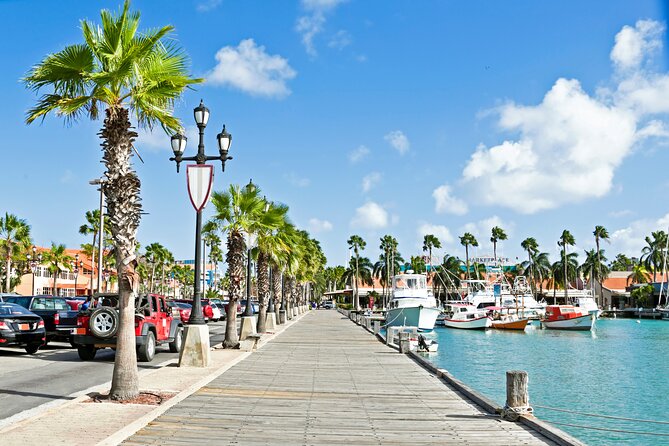 Full Day Private Shore Tour in Oranjestad From Oranjestad Port - Tour Overview