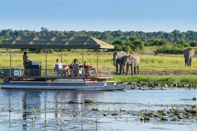 Full Day Private Tour in Chobe - Key Points