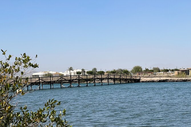 Full-Day Private Tour in Kalba Mangroves And Khor Fakkan - Key Points