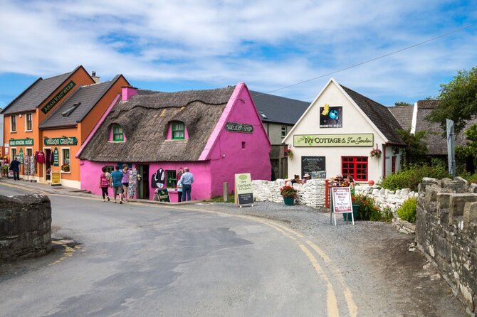 Full-Day Private Tour in West Coast of Ireland - Overview
