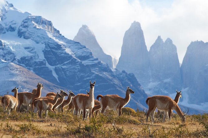 Full Day Private Tour of Torres Del Paine National Park - About Your Stay