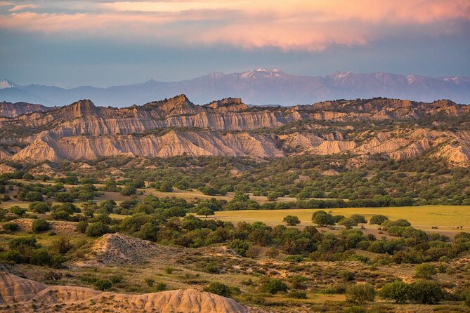 Full-Day Private Wilderness Tour in Vashlovani National Park - Tour Overview