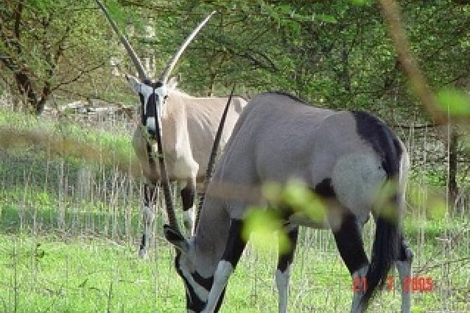FULL-DAY SAFARI and PINK LAKE TOUR (Minimum 2 Pax) - Good To Know