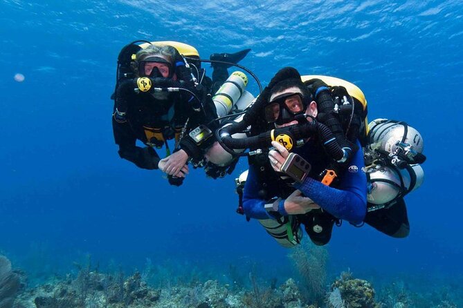 Full-day Scuba Diving Experience for Beginners & Lunch - Sharm El Sheikh - Good To Know