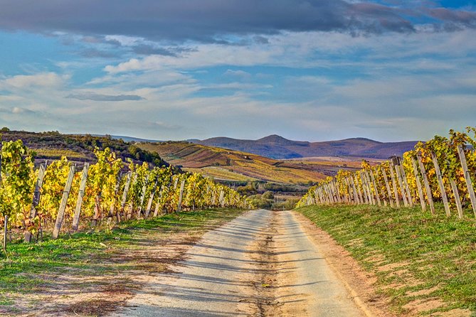 Full-Day Tokaj UNESCO World Heritage Site Private Wine Tour - Good To Know