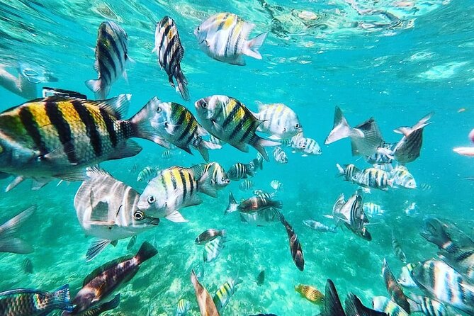Full-Day Tour in 5 Islands of Cartagena With Snorkel Included - About Your Stay
