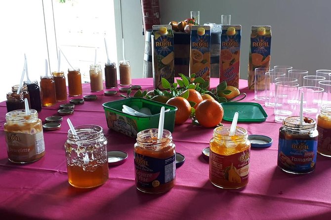 2 Best Tours In Trois Ilets