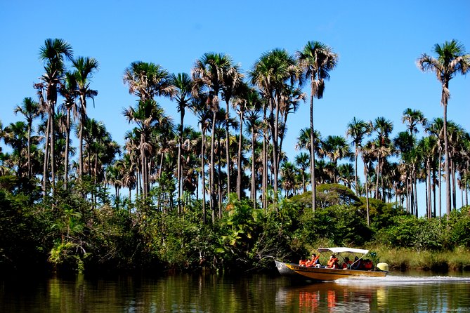 Full Day Tour Through Preguiças River by Speedboat - Good To Know
