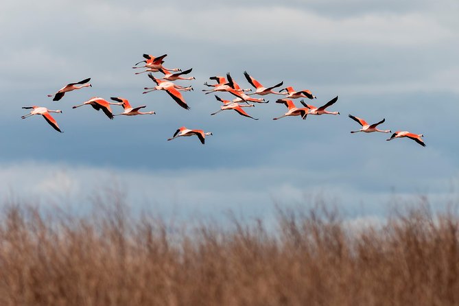 Full-Day Tour to Laguna De Los Pozuelos From Tilcara - About Your Stay