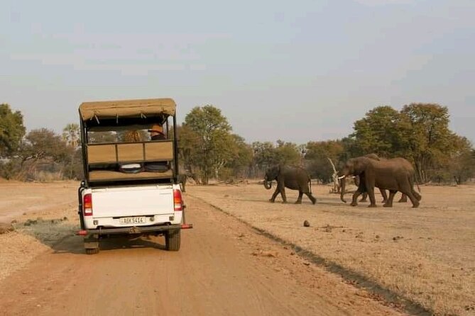 Full-Day Trip Chobe National Park Safari