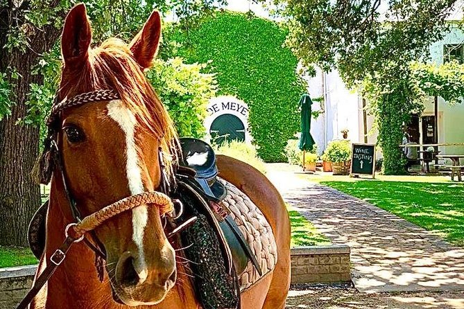 Full Day Wine Tour With Lunch And Tastings - Key Points