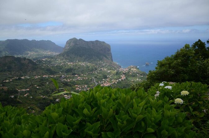 Funchal Half-Day 4WD Tour With Market Stop - Good To Know