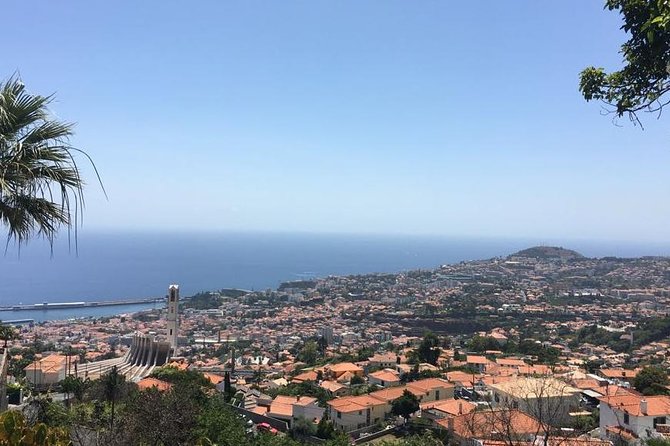 Funchal Private Transfers Service to Madeira Airport - Good To Know