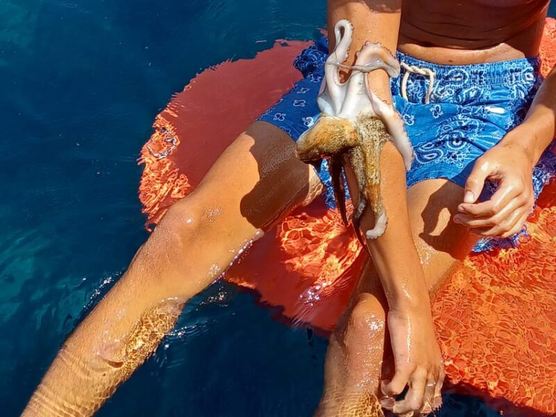 Galanogiannis: Fishing, Free Diving, and Island Hopping Tour - Good To Know