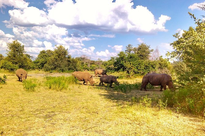 Game Drive Into the Musi Otunya National Park - Key Points