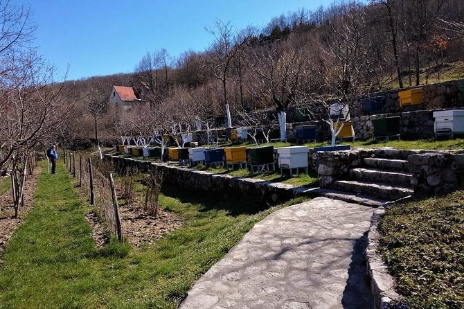 Gastronomy and Sightseeing in Montenegro - Lake Skadar & Cetinje Private Tour - Good To Know
