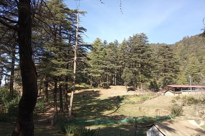 George Everest Nature Walk | Mussoorie - Good To Know