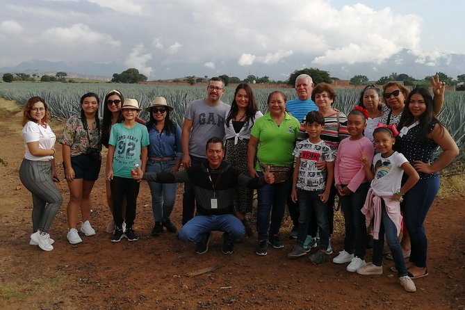 Great Experience With A Tour Guide With Spark - Key Points