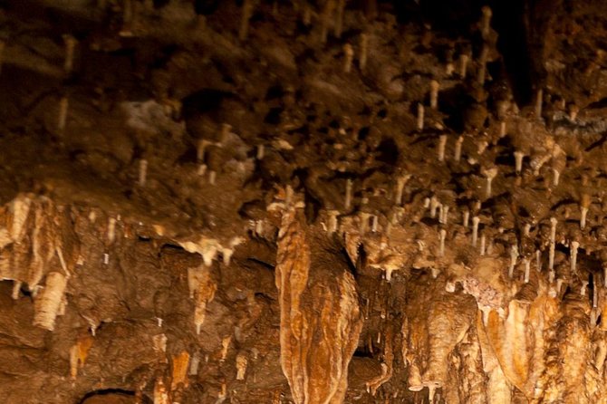 Green Grotto Caves Excursion From Kingston - Tour Overview