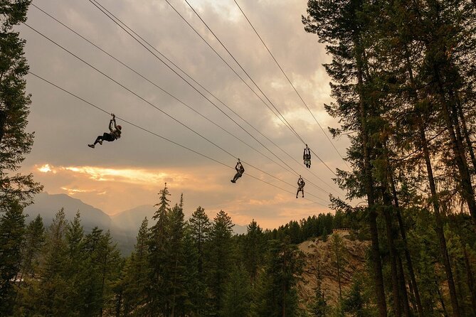 Grizzly Bear, Mountain Tops & Falls From Calgary Canmore & Banff - Good To Know