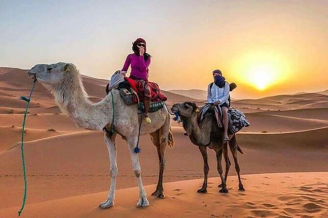 Group - 1 Night Desert Tour to Merzouga From Fes to Marrakech/Fes - Good To Know