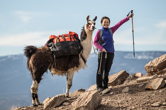 Guided Awesome 2-Hour Llama Hikes Private Experience - Good To Know