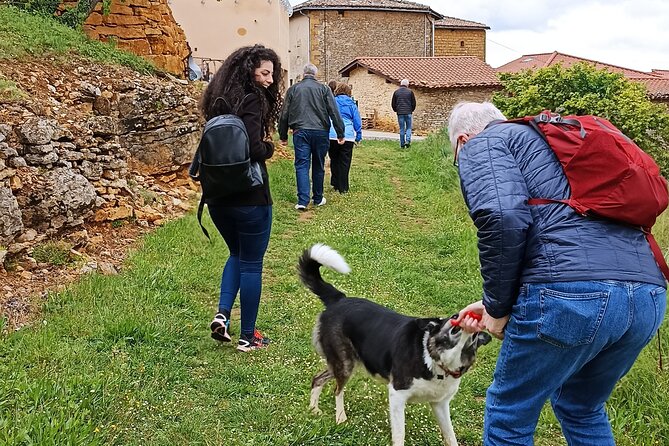 Guided Day of the Beaujolais Cellars With Tasting - Tour Overview