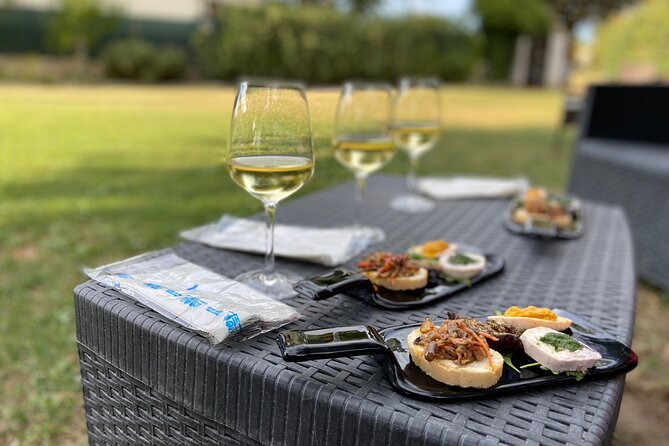 Guided E-Bike Tour With Food and Wine Tasting. - Good To Know