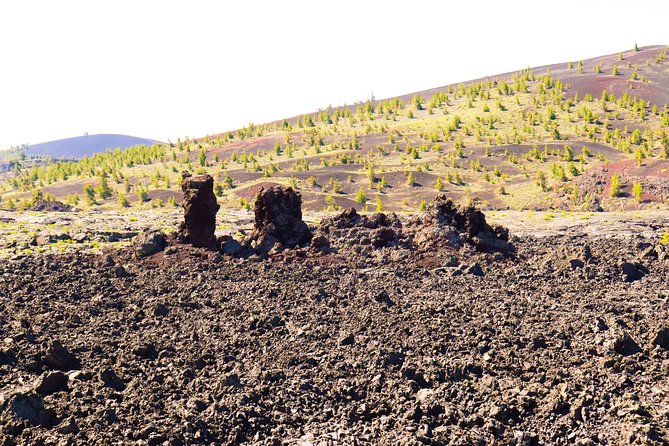 Guided Full-Day Tour to Craters of the Moon National Monument & Preserve - Tour Overview and Highlights