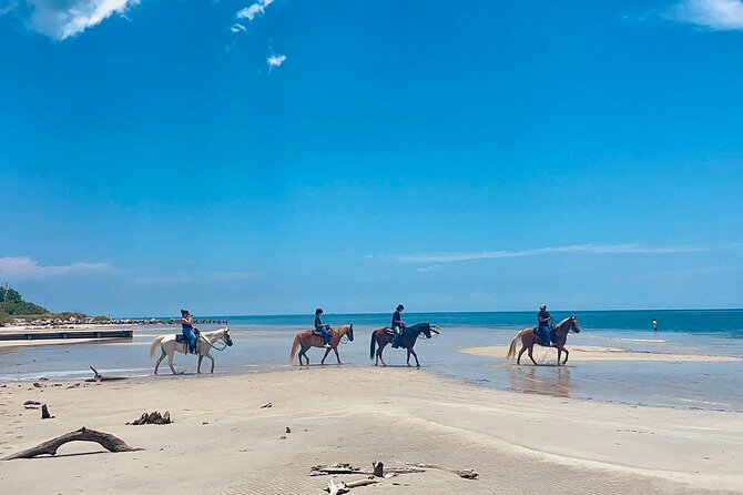 Guided Horseback Riding on The Pristine Waters of Miami Florida - Good To Know
