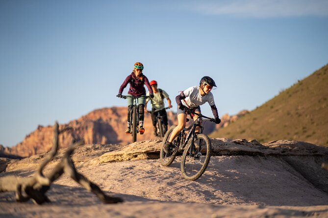 Guided Mountain Bike Tours - Zion - Good To Know