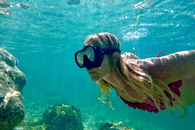 Guided Snorkel Experience, Free Videos in West Palm Beach - Good To Know