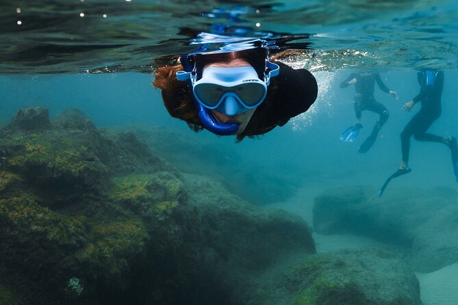 Guided Snorkeling Activity in Papagayo Beach Lanzarote - Activity Overview