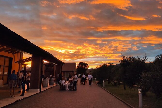 Guided Tour and Wine Tasting in the Sandro De Bruno Winery - Good To Know