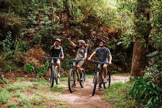 Guided Tour Electric Mountain Bike Experience Review - Key Points