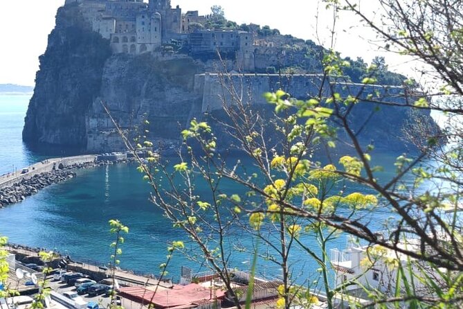 Guided Tour of the Aragonese Castle in Ischia - Overview of the Aragonese Castle