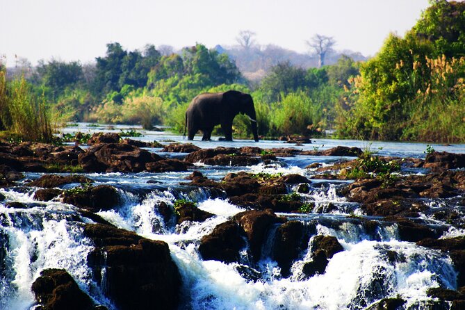 Guided Tour of the Falls (Zim Side) Wildlife Safari, by Savannah - Good To Know