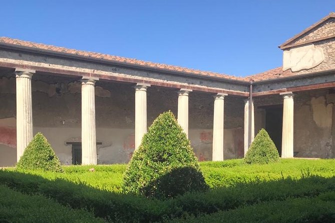 Guided Tour of the Pompeii Excavations From the Amalfi Coast - Whats Included