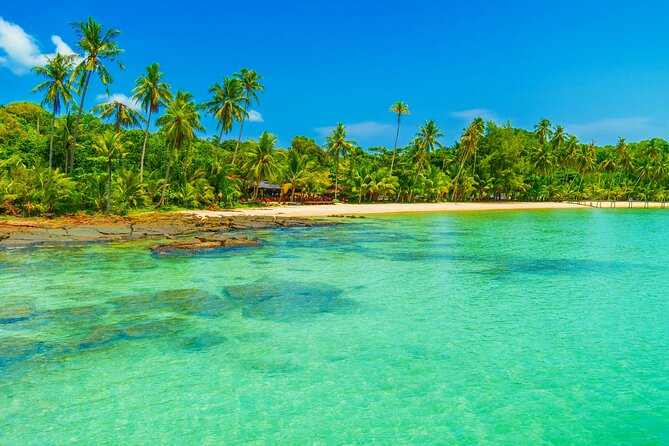Guided Tour to Saona Island From Punta Cana - Tour Itinerary Overview