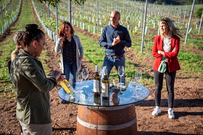 Guided Winery Tour and Wine Tasting in Pontevedra - Good To Know
