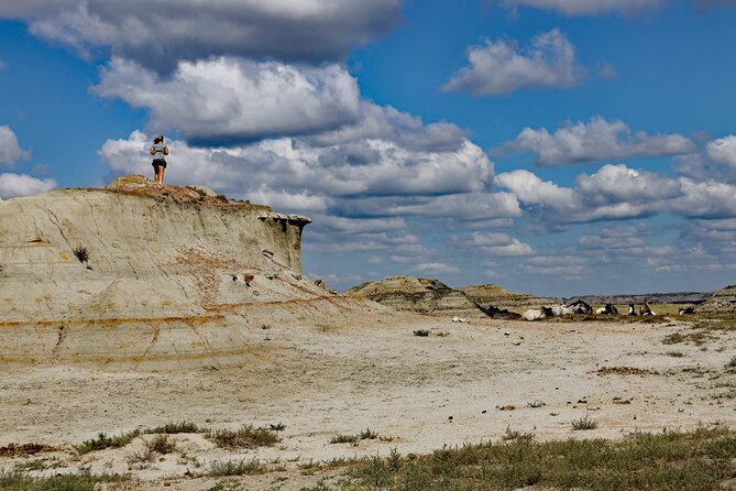 Half Day Chasing Horses Wildlife Photography Experience in North Dakota - Good To Know