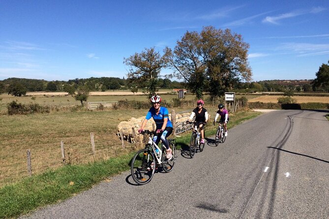 Half-Day Cycling Tours Around Siena - Cycling Route Highlights