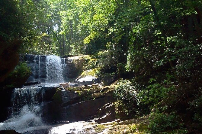 Half Day Educational Waterfall & Forest Hike Guided Tour With Lunch