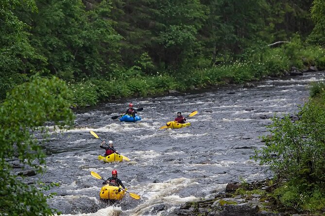 Half-Day Family Rafting to Västerdal River With Fika - Good To Know