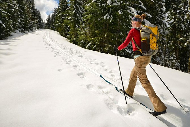 Half-Day Guided Backcountry Ski Touring Experience Near Incline Village - About Your Stay