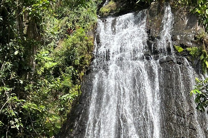 Half Day Guided Tour in El Yunque With Pick up - Inclusions