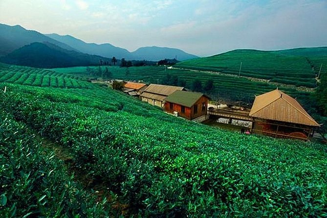 Half-Day Hangzhou Tianzhu Buddhist Mountain Hiking Tour With Green Tea Village - Good To Know