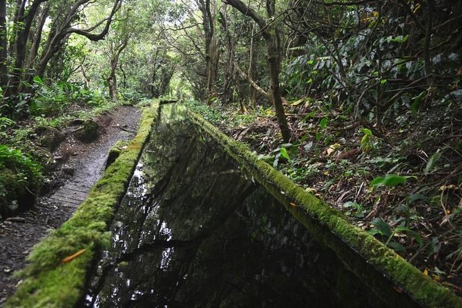 Half Day Hike Tour Lagoa Do Fogo Trail - Key Points